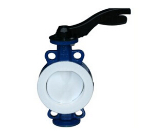 撸撸社软件下载免费版