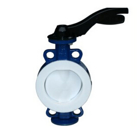 撸撸社软件下载免费版