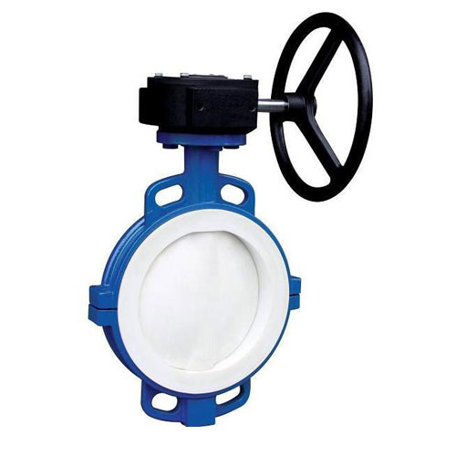 撸撸社下载免费版